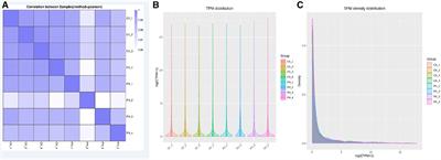 Whole-genome microRNA sequencing analysis in patients with pulmonary hypertension